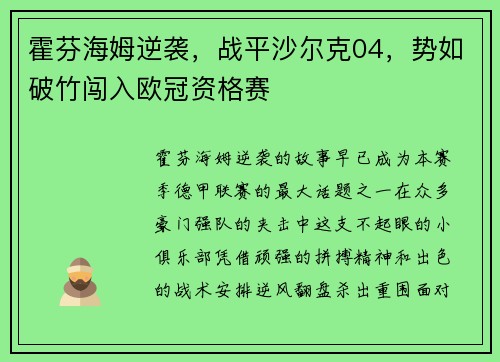 霍芬海姆逆袭，战平沙尔克04，势如破竹闯入欧冠资格赛